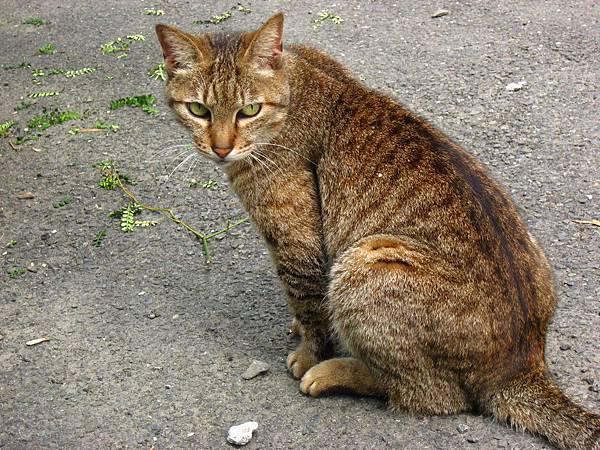 Image00004.jpg