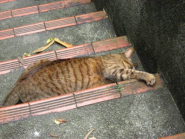 Image00015.jpg