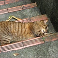 Image00016.jpg