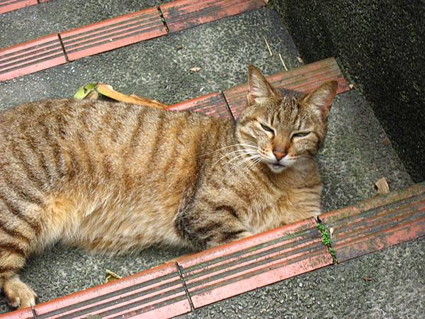 Image00018.jpg