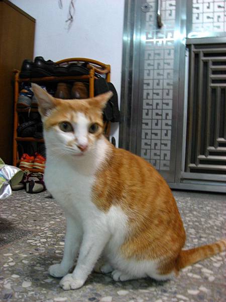 Image00005.jpg