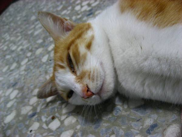 Image00010.jpg
