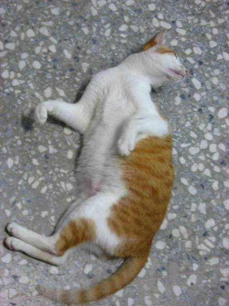 Image00001.jpg