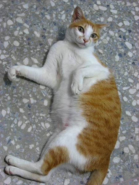Image00002.jpg