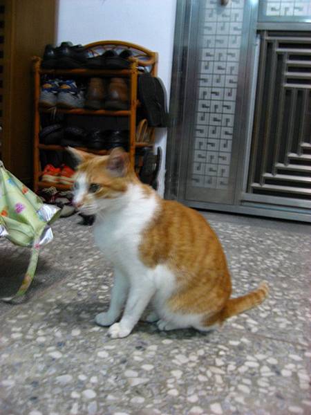 Image00004.jpg