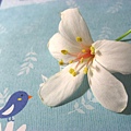 Image00040.jpg