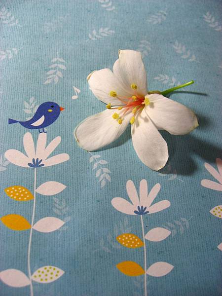 Image00041.jpg