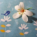 Image00041.jpg
