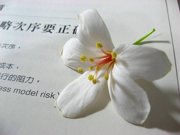 Image00035.jpg