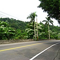 IMG_5097.JPG