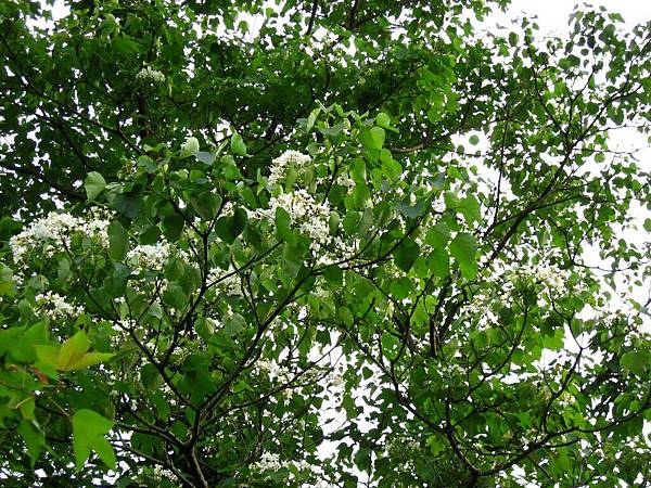 Image00014.jpg