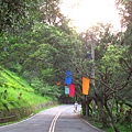 Image00015.jpg