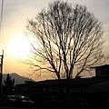 Image00018.jpg