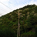 Image00026.jpg