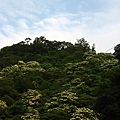 Image00028.jpg