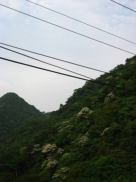 Image00029.jpg