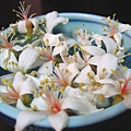 Image00073.jpg