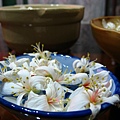 Image00074.jpg