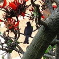 Image00007.jpg
