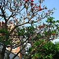 Image00008.jpg