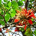 Image00010.jpg