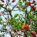 Image00011.jpg