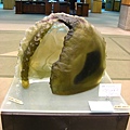 Image00030.jpg