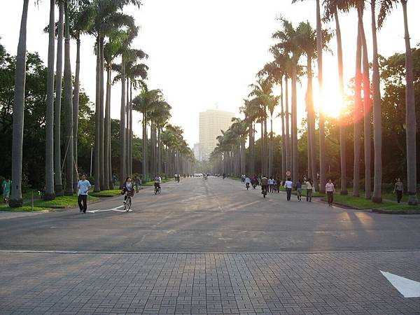 Image00045.jpg