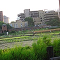 Image00053.jpg