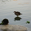 Image00058.jpg