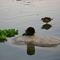 Image00059.jpg