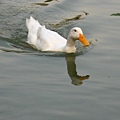 Image00063.jpg