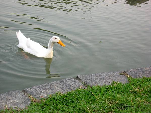 Image00064.jpg
