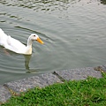Image00064.jpg