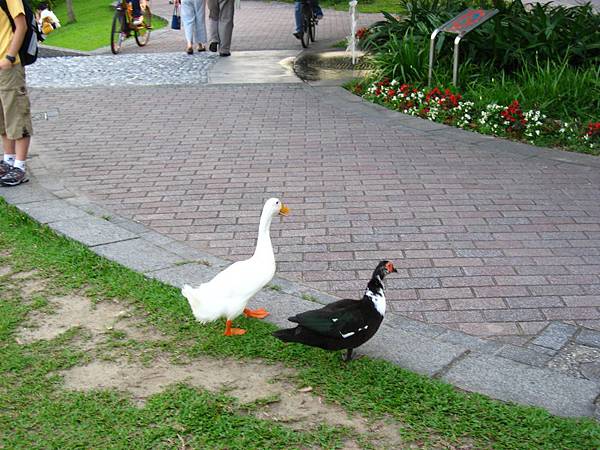 Image00066.jpg