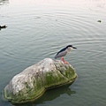 Image00067.jpg