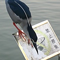 Image00068.jpg
