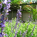 IMG_5646.JPG
