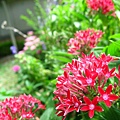IMG_5651.JPG
