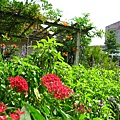 IMG_5652.JPG