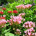 IMG_5654.JPG