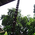 IMG_5668.JPG