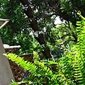 IMG_5672.JPG