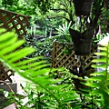 IMG_5673.JPG