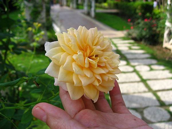 Image00028.jpg