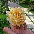 Image00028.jpg
