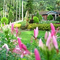 Image00072.jpg