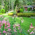 Image00073.jpg