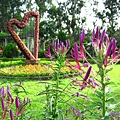 Image00080.jpg