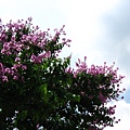 Image00001.jpg